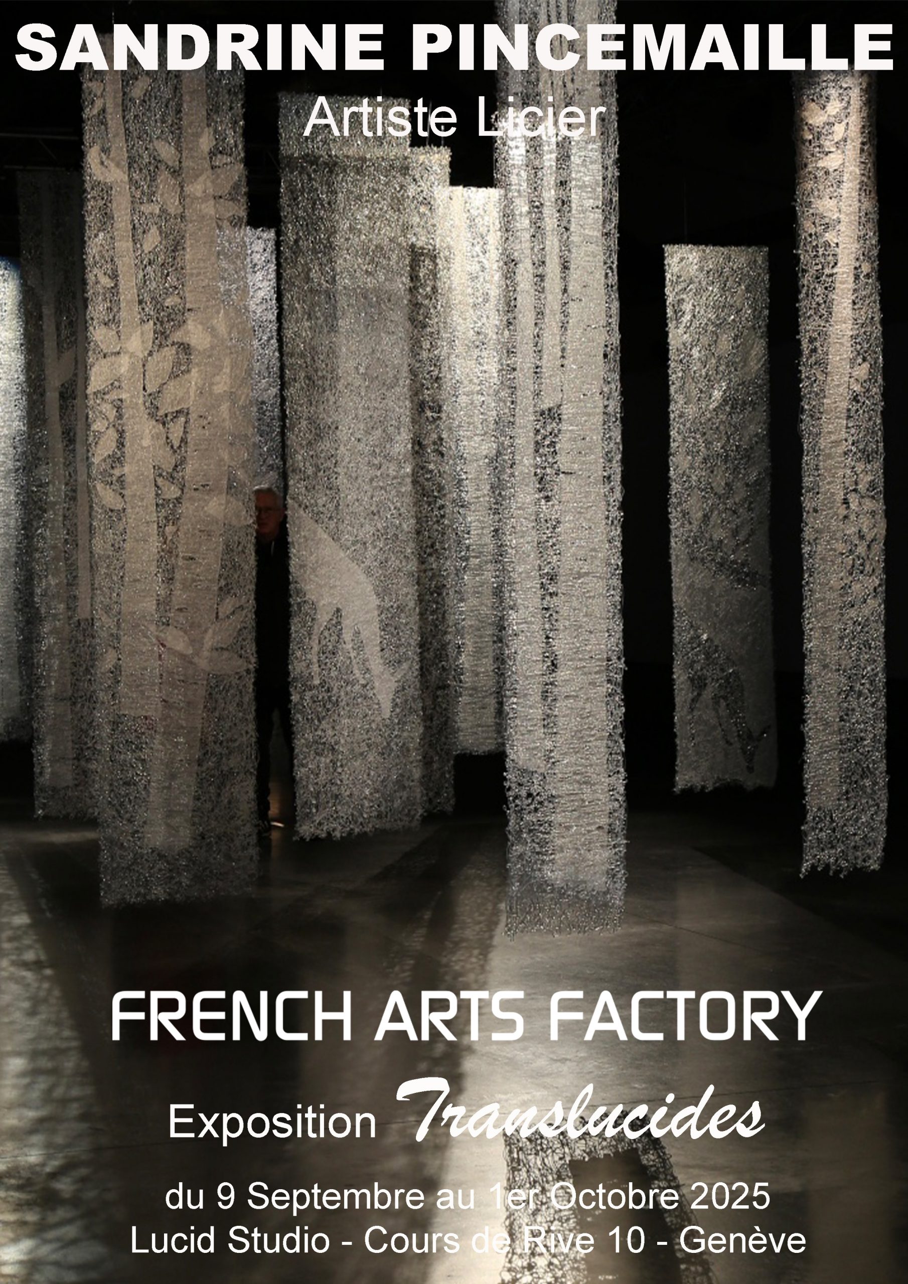 Solo Show 